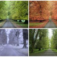 A Change of Seasons