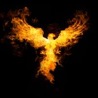 Firebird