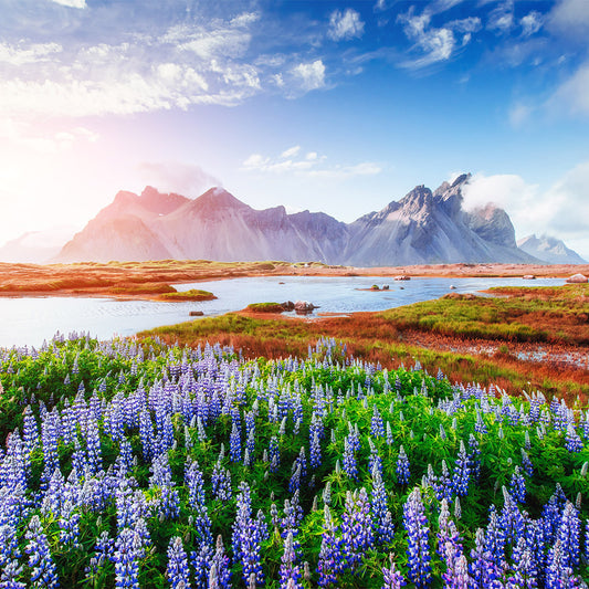 What a Wonderful World